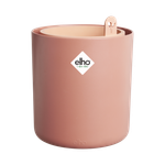 bouncy basil terra caramel